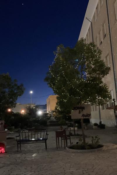 Img 0742